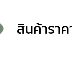 BASIC SERIES สินค้าราคาประหยัด