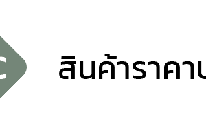 BASIC SERIES สินค้าราคาประหยัด