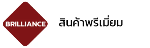 333 3 510x164.png